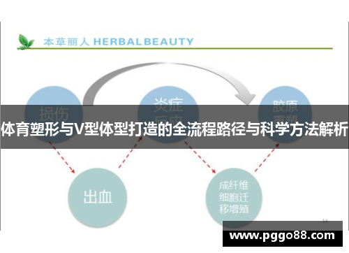 体育塑形与V型体型打造的全流程路径与科学方法解析